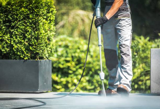 Best Patio and Deck Pressure Washing  in Parkwood, WA